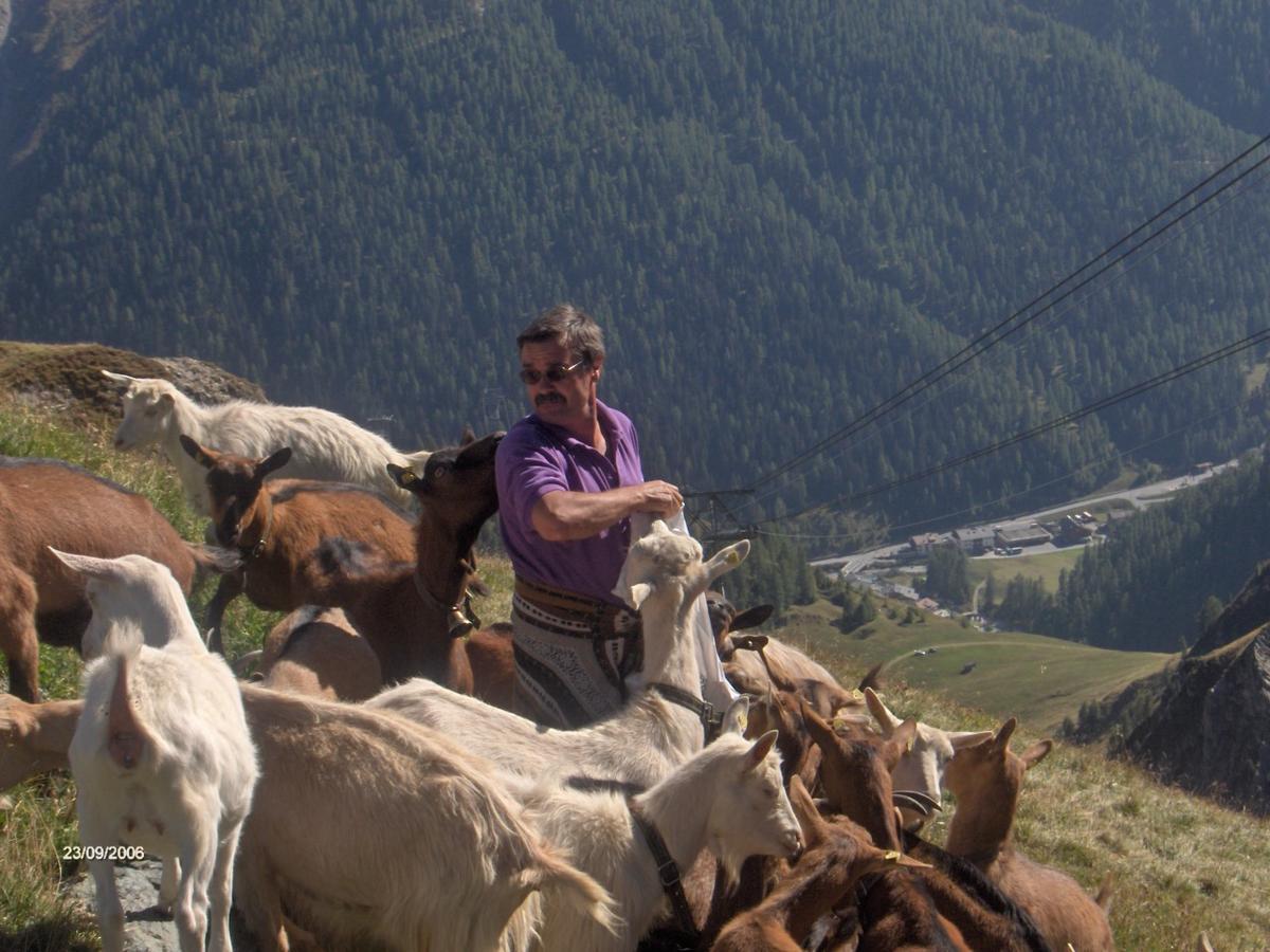 Chasa Val Bella Daire Samnaun Dış mekan fotoğraf
