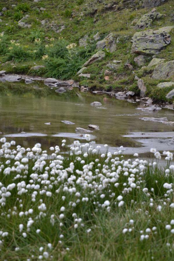 Chasa Val Bella Daire Samnaun Dış mekan fotoğraf